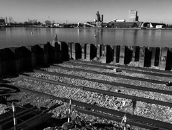 IMG_0436bn