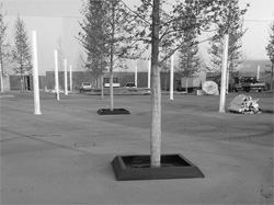 expo-salvapiante-1bn