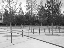 expo-transenne-3bn