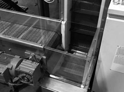 costruzione linea trasporto pet